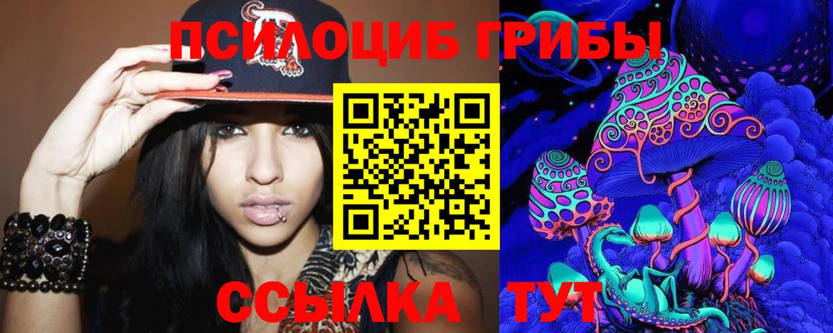 Псилоцибиновые грибы Psilocybine cubensis Кизилюрт