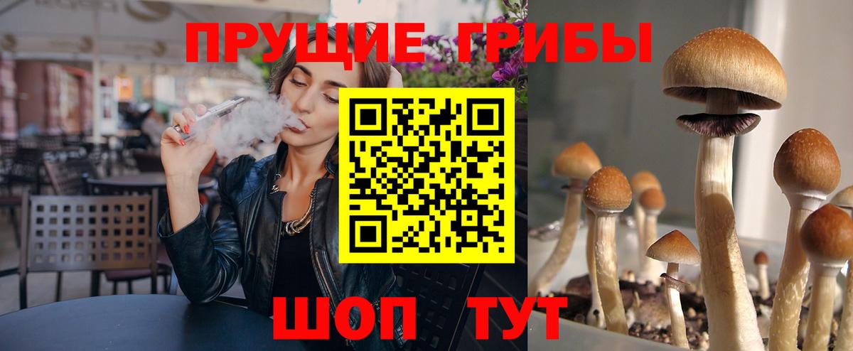 Галлюциногенные грибы MAGIC MUSHROOMS  купить наркотик  Вход с VPN  Кизилюрт  Галлюциногенные грибы прущие грибы 